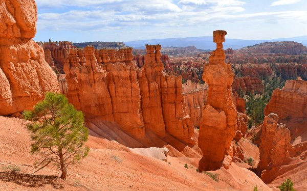 Earth Bryce Canyon National Park National Park Canyon Landscape Rock Cliff Nature HD Wallpaper | Background Image