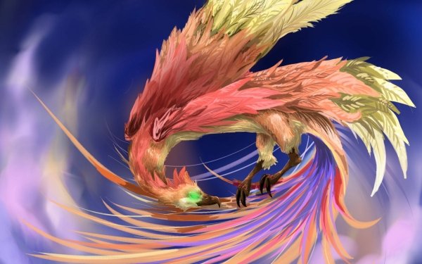 Fantasy Phoenix Fantasy Animals Bird Colors Feather HD Wallpaper | Background Image