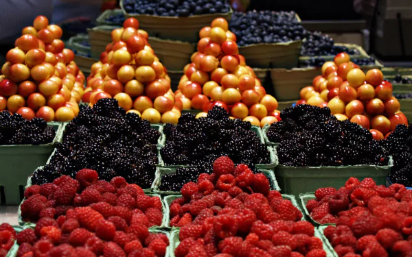 market blueberry berry blackberry raspberry food fruit HD Desktop Wallpaper | Background Image