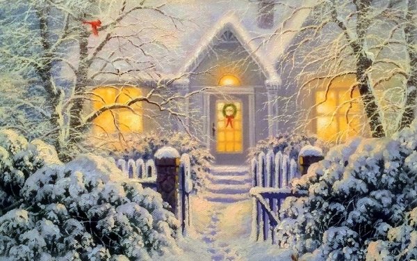 House Decorated on Christmas HD Wallpaper | Background Image | 1920x1200 | ID:681054 - Wallpaper