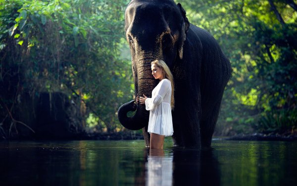 Women Mood Blonde Elephant Reflection HD Wallpaper | Background Image