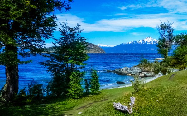 Earth Lake Lakes Argentina Mountain Tree HD Wallpaper | Background Image
