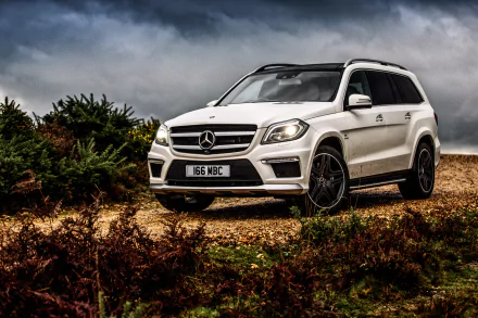 White Mercedes-Benz GL-Class SUV parked on rugged terrain under a cloudy sky, captured in striking 4K Ultra HD detail for a PC desktop wallpaper.