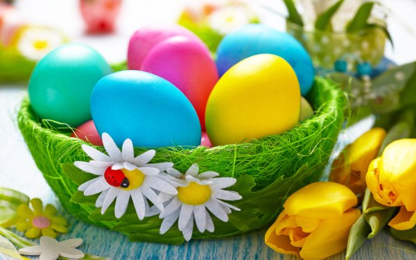 Día festivo Pascua Easter Egg Huevo Colores Colorful Flor Tulipán Fondo de pantalla HD | Fondo de Escritorio