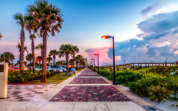 A vibrant HDR image capturing a scenic street in Jacksonville, Florida, lined with palm trees and illuminated by street lamps at sunset, showcasing the beauty of man-made walkways.