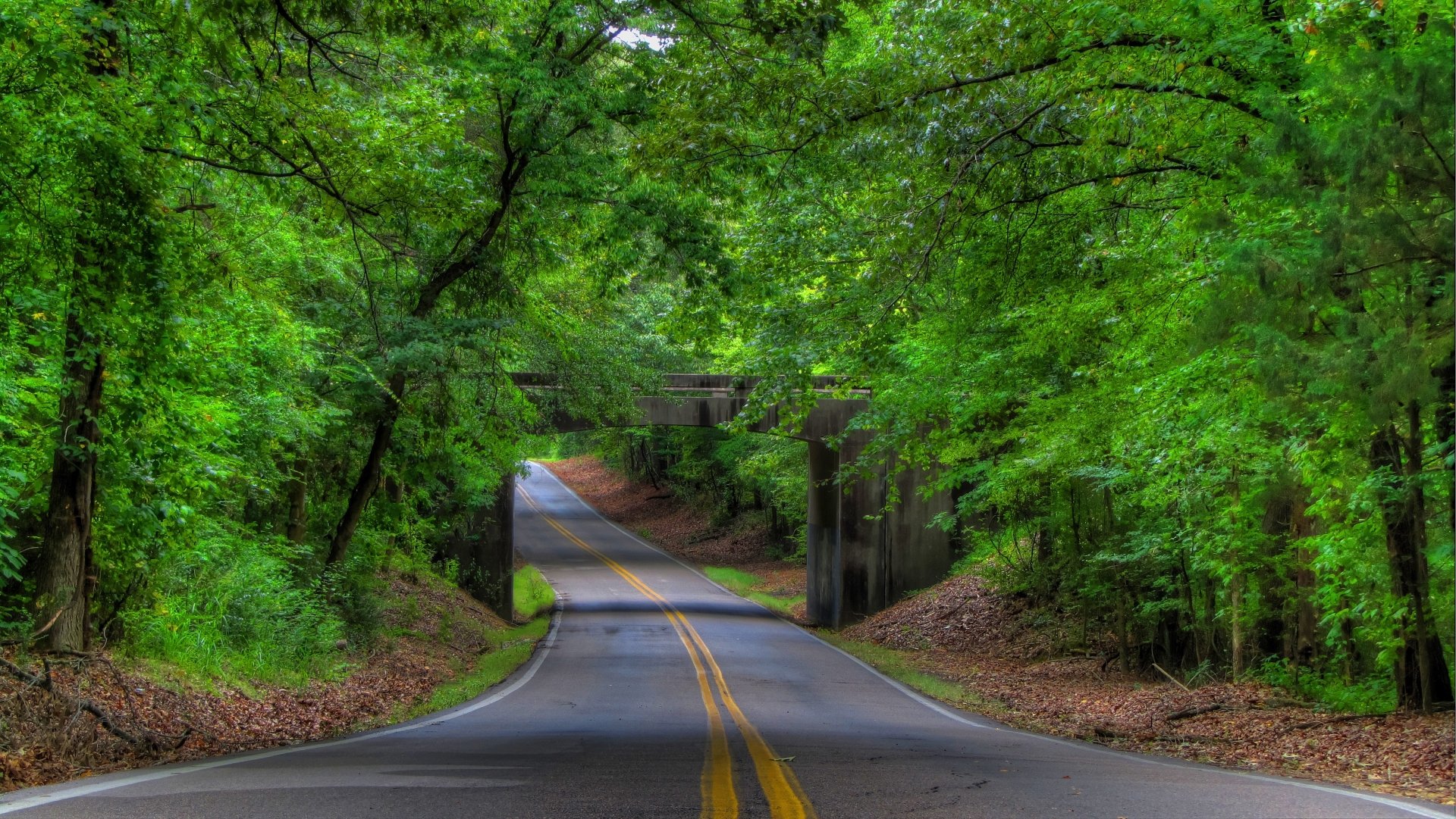 Download Green Tree Bridge Man Made Road 4k Ultra HD Wallpaper