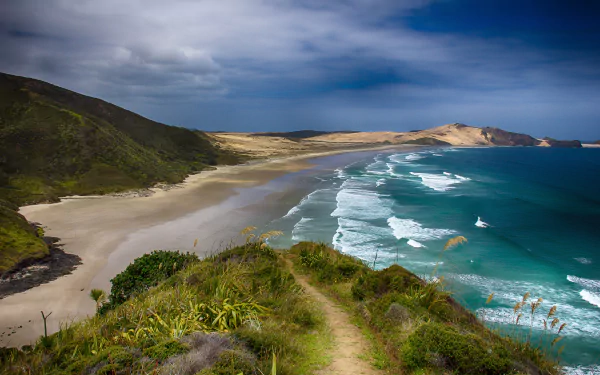 A stunning 4K Ultra HD wallpaper showcasing the breathtaking coastline of New Zealand, featuring sandy beaches, lush greenery, and dramatic cliffs under a moody sky.