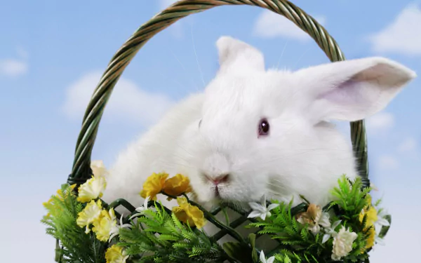A white bunny nestled in a flower-adorned basket against a blue sky, captured in vibrant 4K Ultra HD for a festive Easter holiday desktop wallpaper.