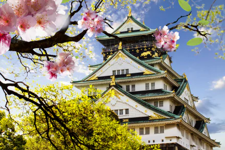 A stunning HD wallpaper featuring a traditional Japanese pagoda surrounded by cherry blossoms, highlighting the beauty of man-made architecture set against a clear blue sky.