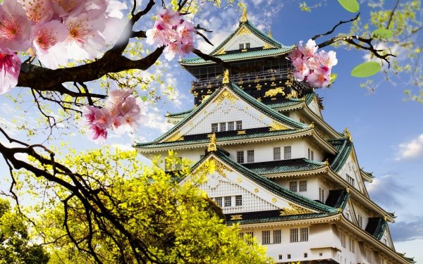 Hecho por el hombre Castillo Castillos Japón Cherry Blossom Pagoda Fondo de pantalla HD | Fondo de Escritorio