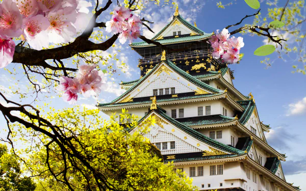 A stunning HD wallpaper featuring a traditional Japanese pagoda surrounded by cherry blossoms, highlighting the beauty of man-made architecture set against a clear blue sky.