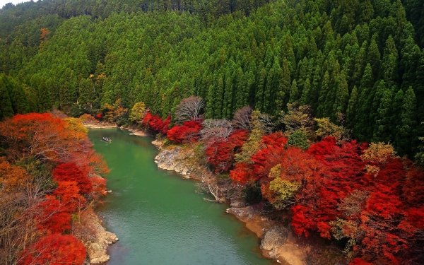 Terre/Nature Forêt Arbre Automne Foliage Japon Fond d'écran HD | Image