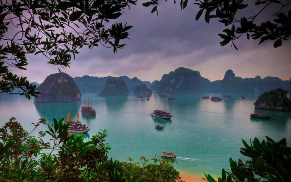 Scenic HD wallpaper of turquoise sea and limestone islands in Ha Long Bay, Vietnam, framed by tree branches with boats floating on the water under a cloudy sky.
