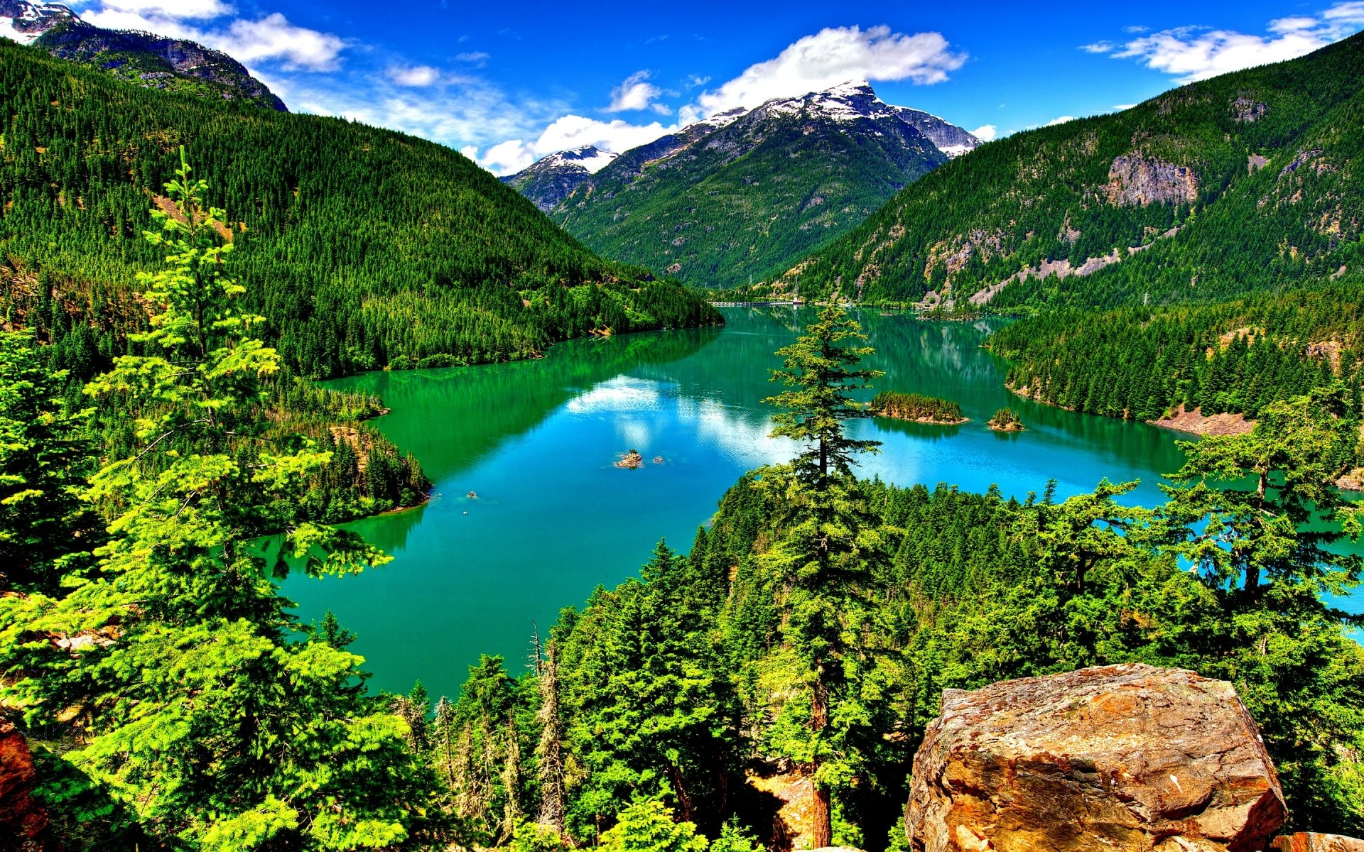 Download Forest Tree Green Mountain Lake Nature Landscape HD Wallpaper