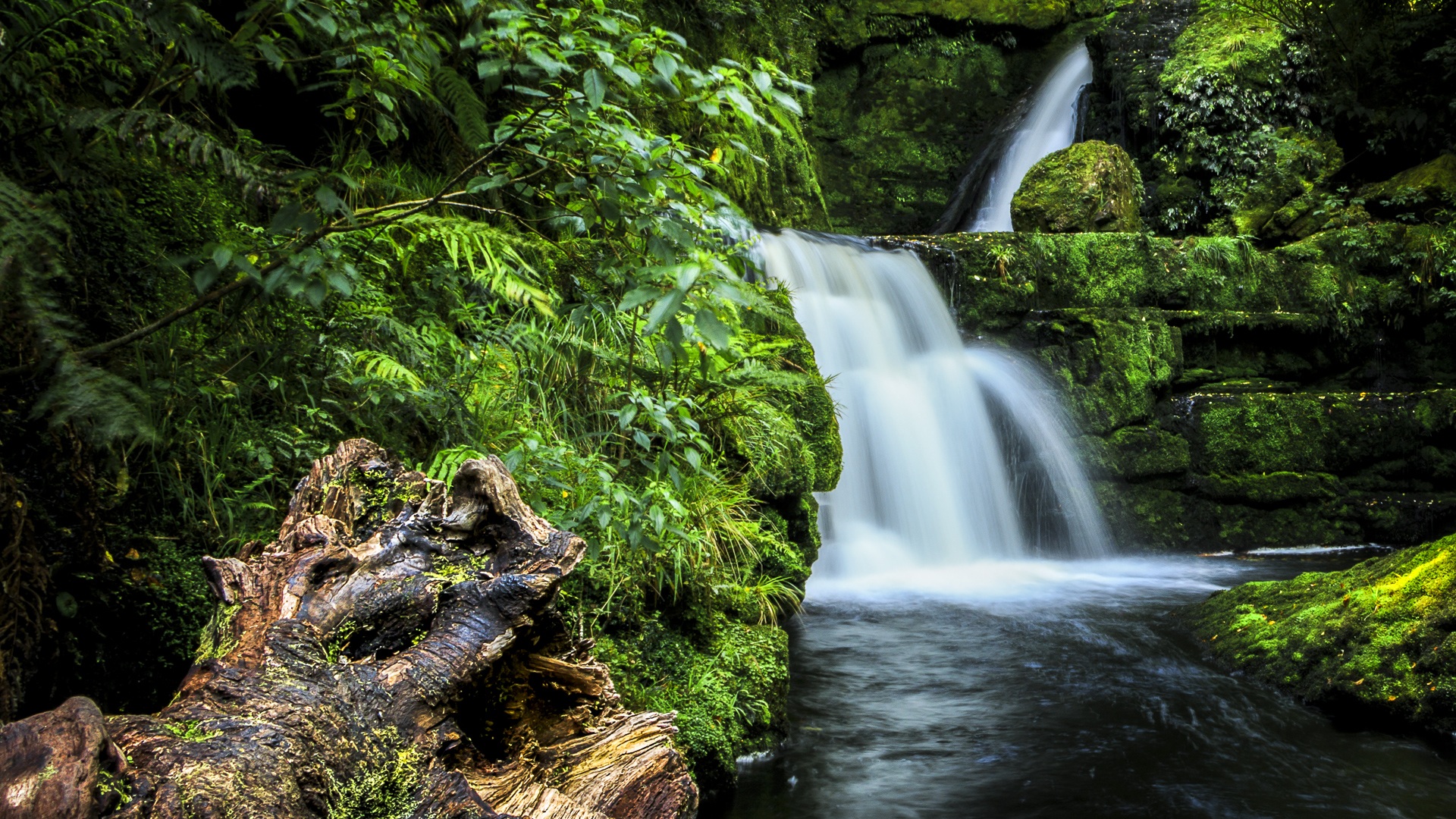 Download Green Tree Forest Nature Waterfall HD Wallpaper