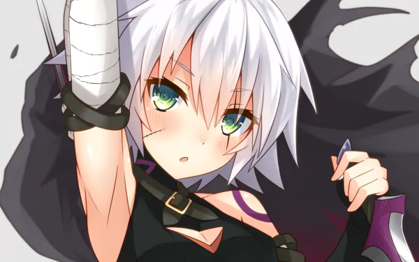 HD PC desktop wallpaper featuring Assassin of Black from Fate/Apocrypha, styled in vibrant anime art from the Fate/Grand Order universe.
