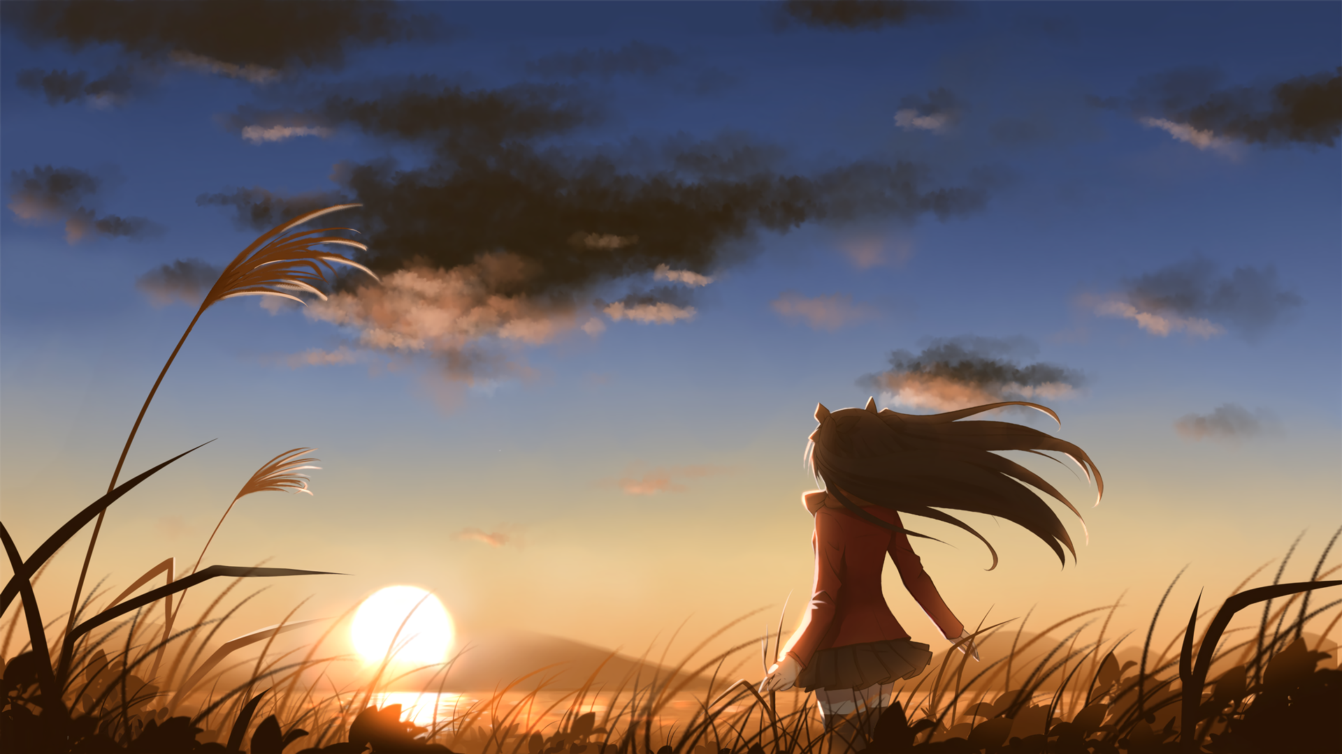 HD PC desktop wallpaper featuring Rin Tohsaka from the anime Fate/Stay Night standing in a field during sunset with wind blowing through her hair.