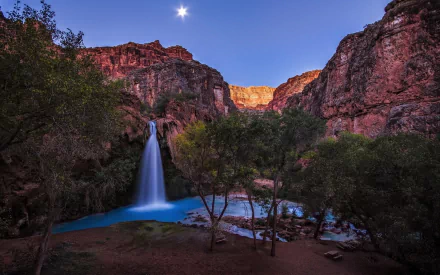 tree canyon waterfall nature havasu falls HD Desktop Wallpaper | Background Image