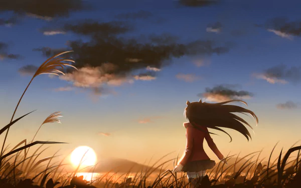 HD PC desktop wallpaper featuring Rin Tohsaka from the anime Fate/Stay Night standing in a field during sunset with wind blowing through her hair.