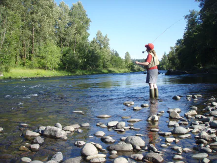 Man fly fishing in an Oregon river by 12019