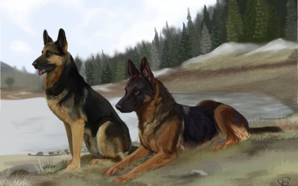 Animal German Shepherd Dogs Painting Dog HD Wallpaper | Background Image