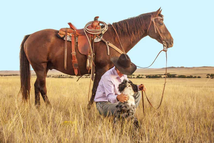  A cowboy and his horse on a ranch by Lisa Johnson