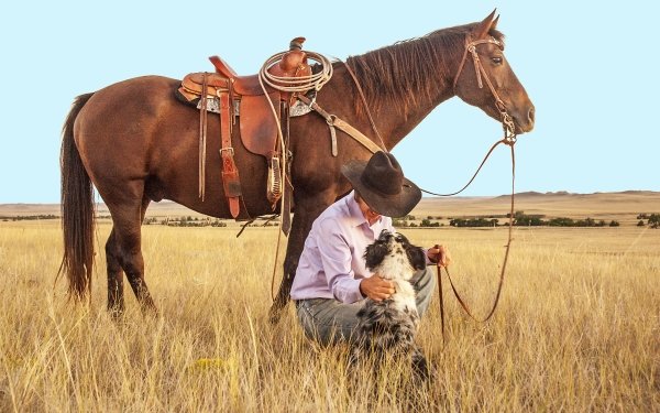 Men Cowboy Horse Dog Ranch Portrait HD Wallpaper | Background Image