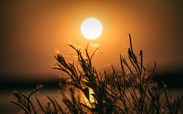 Photography Sunset Sun Close-Up HD Wallpaper | Background Image