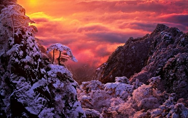 Earth Winter Sunset Cloud Mountain Tree HD Wallpaper | Background Image
