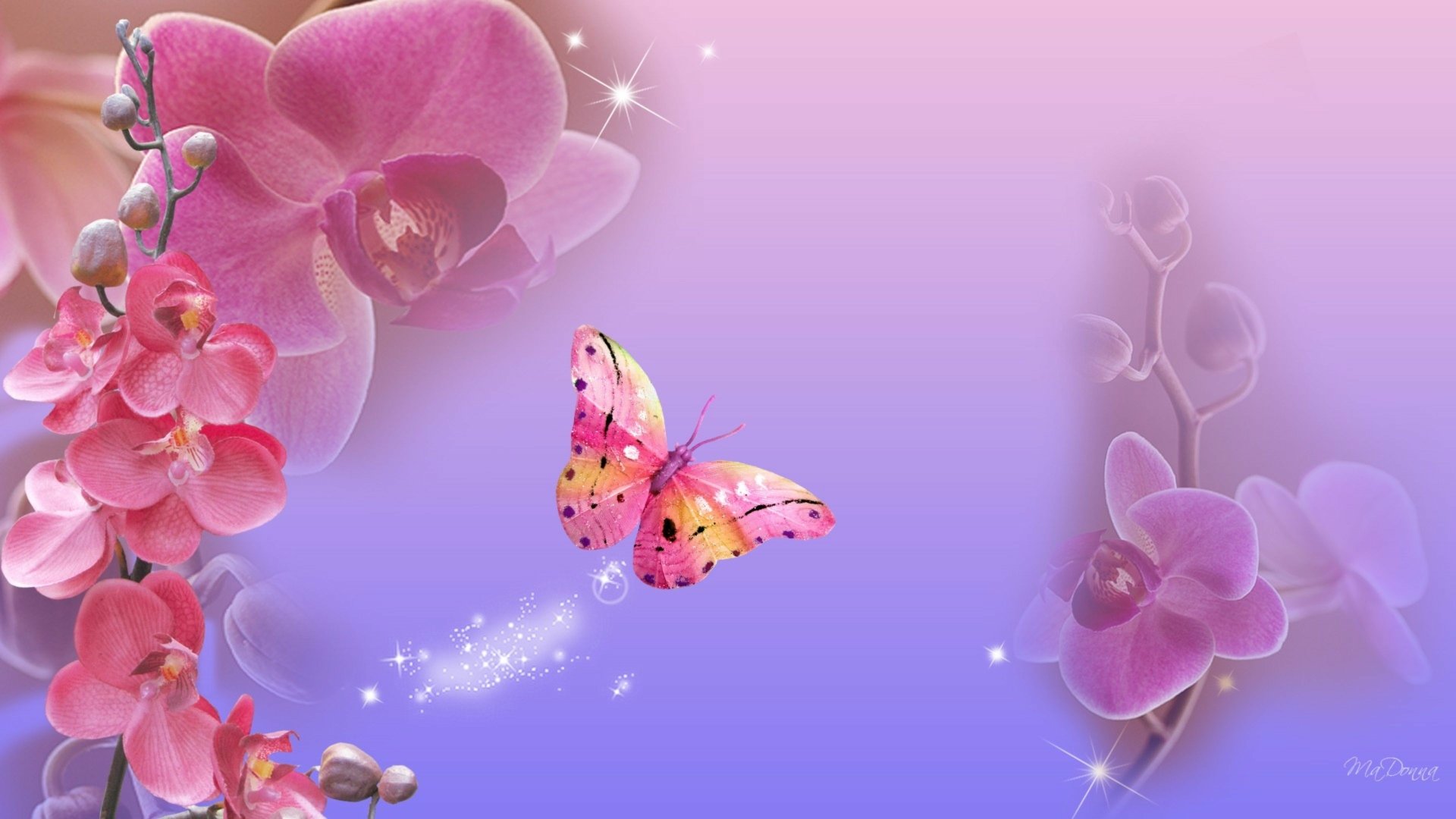 Download Pink Flower Sparkles Orchid Flower Artistic Butterfly 4k Ultra ...