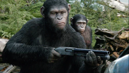 HD PC desktop wallpaper from Dawn of the Planet of the Apes: two apes in a forest, one gripping a shotgun and staring intently while the other watches from behind.