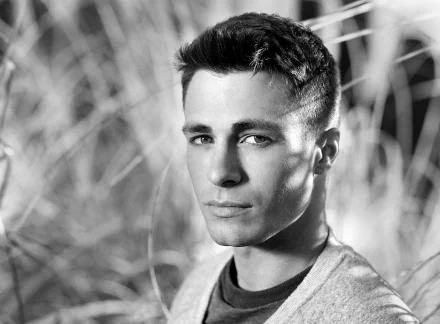 Black & White American actor Celebrity Colton Haynes HD Desktop Wallpaper | Background Image