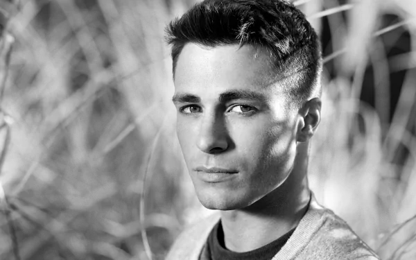 Black & White American actor Celebrity Colton Haynes HD Desktop Wallpaper | Background Image