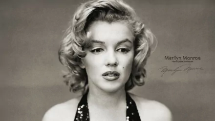 Black and white HD wallpaper featuring a portrait of Marilyn Monroe, showcasing her iconic beauty and timeless allure.