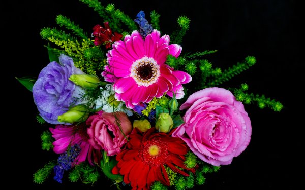 Man Made Flower Bouquet Gerbera Rose Colors Colorful Pink Flower Purple Flower HD Wallpaper | Background Image