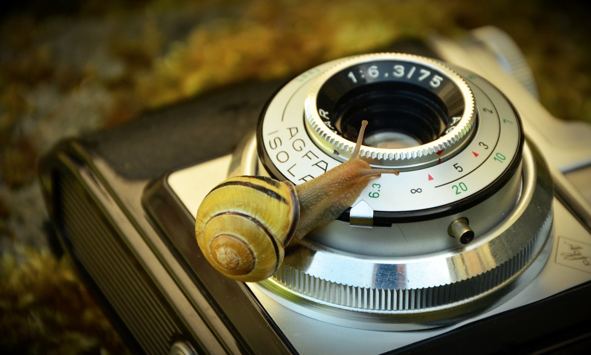 Download Antique Vintage Camera Agfa Mollusc Close-up Lens Camera Animal Snail HD Wallpaper by congerdesign