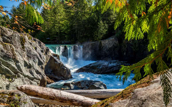 A serene natural scene featuring a waterfall cascading over rocks, framed by vibrant greenery and a fallen log, captured in stunning 4K Ultra HD resolution.