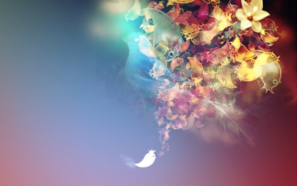 Artistic Collage Flower Bird Colors HD Wallpaper | Background Image