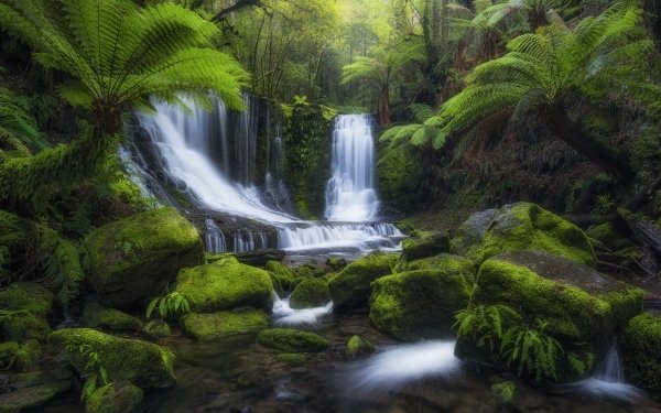 Earth Waterfall Waterfalls Forest Tropical Green Moss HD Wallpaper | Background Image