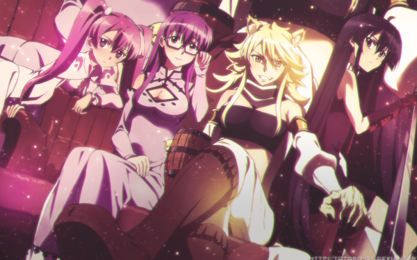 Anime Akame ga Kill! Akame Leone Mine Sheele HD Wallpaper | Background Image