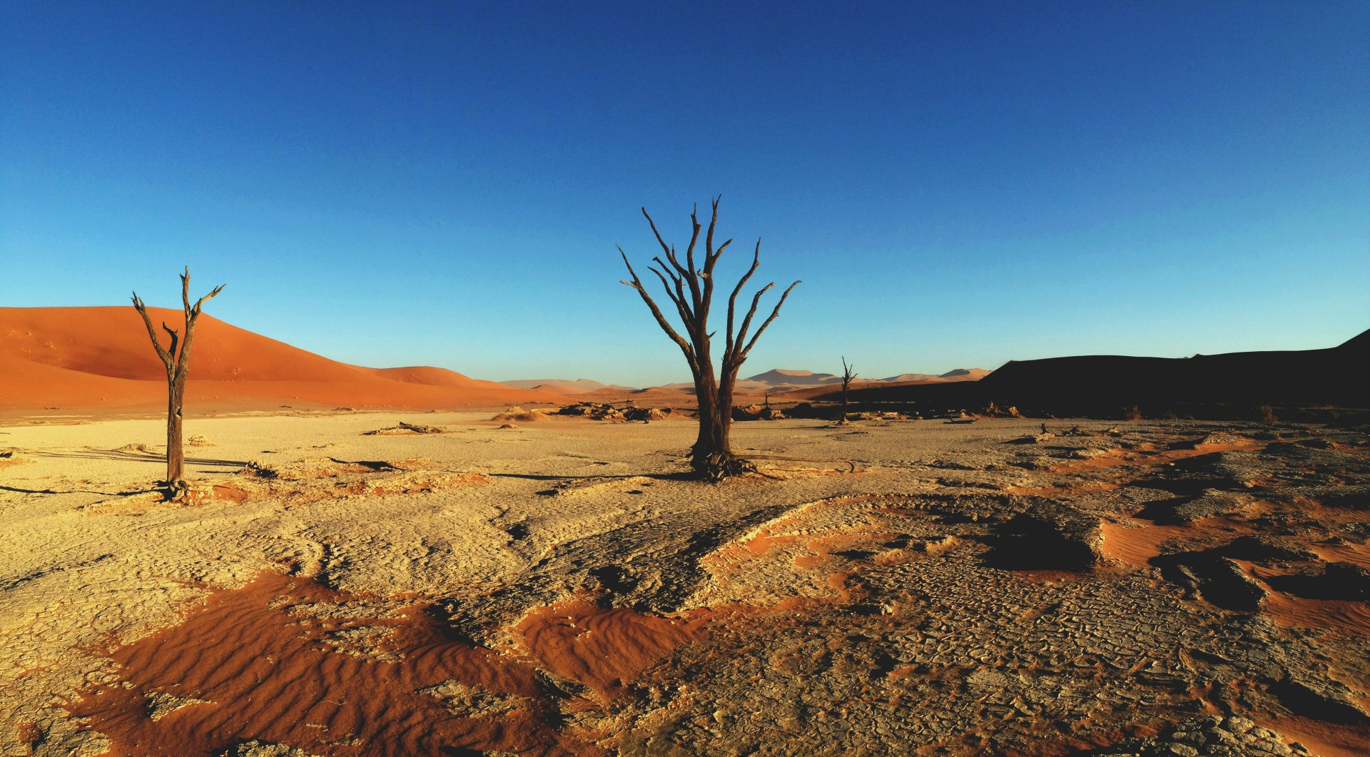 HD PC desktop wallpaper featuring a serene desert landscape with a clear blue sky and sparse, dry trees standing on cracked earth.