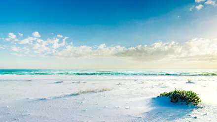 HD PC desktop wallpaper featuring a serene beach scene with white sand, sparse vegetation, and a bright blue sky dotted with clouds, showcasing natural coastal beauty.