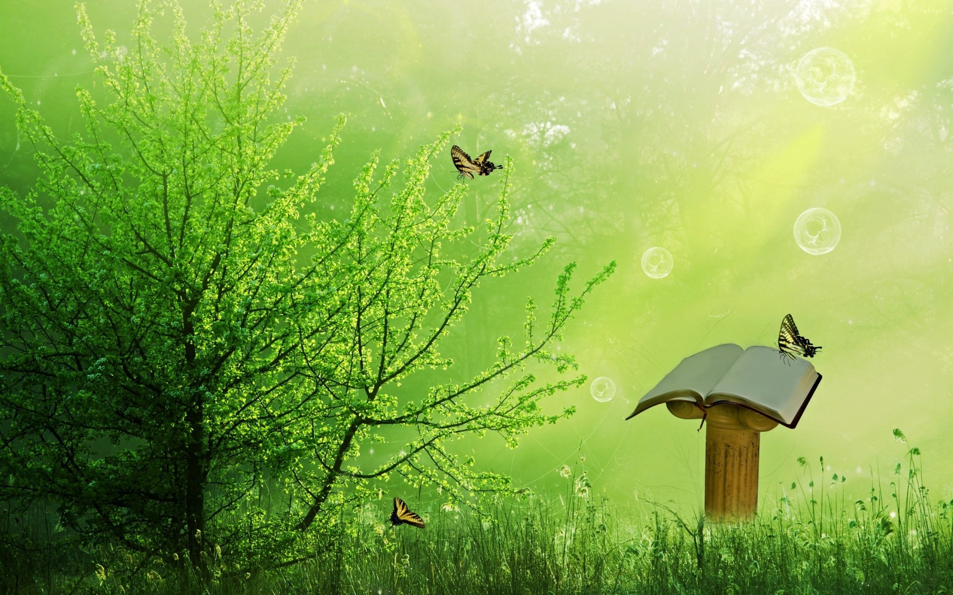 Download Book Green Meadow Butterfly Artistic Spring HD Wallpaper by