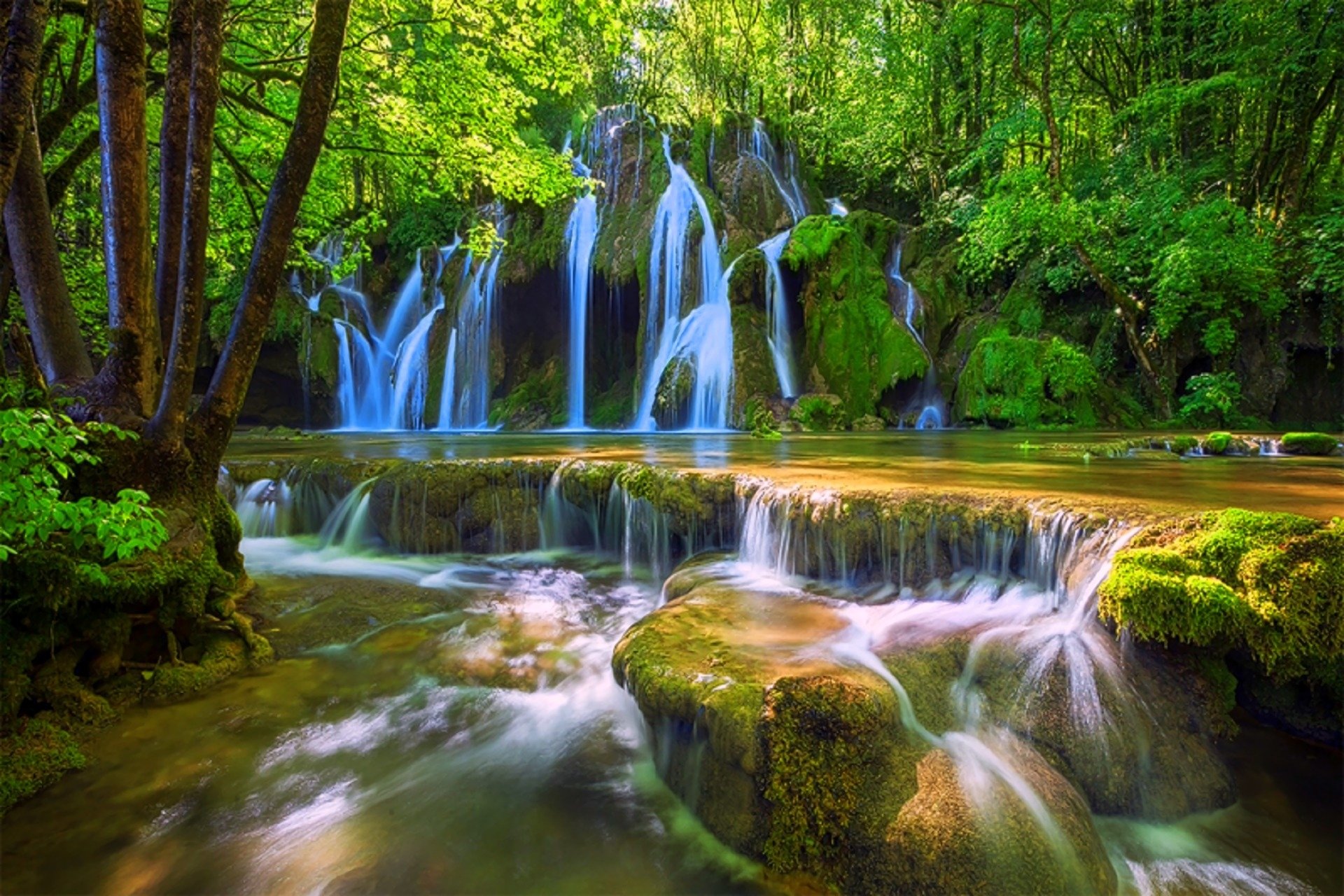 Download Tree Green Forest Nature Waterfall HD Wallpaper