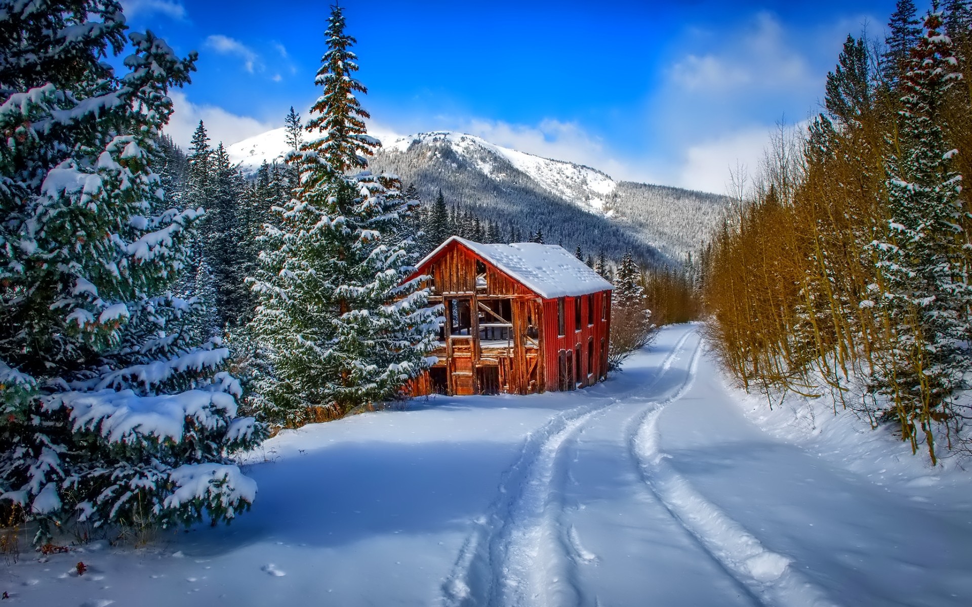Old Cabin In Winter Hd Wallpaper Background Image 1920x1200