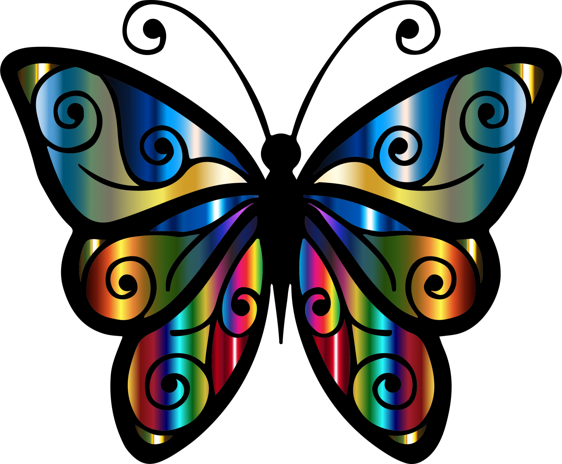 Colorful Iridescent Butterfly HD Wallpaper | Background Image | 2246x1856