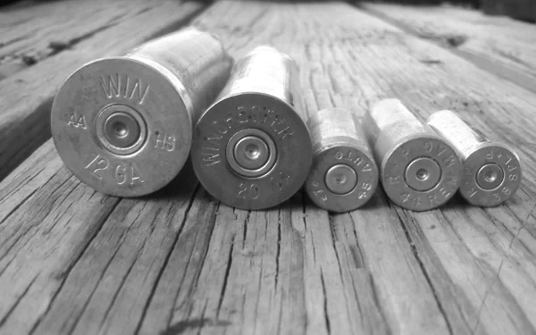 A black-and-white HD desktop wallpaper featuring five man-made bullet casings arranged on wooden planks, showcasing intricate details and varying sizes.