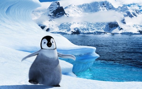 Movie Happy Feet Penguin Mumble Snow HD Wallpaper | Background Image