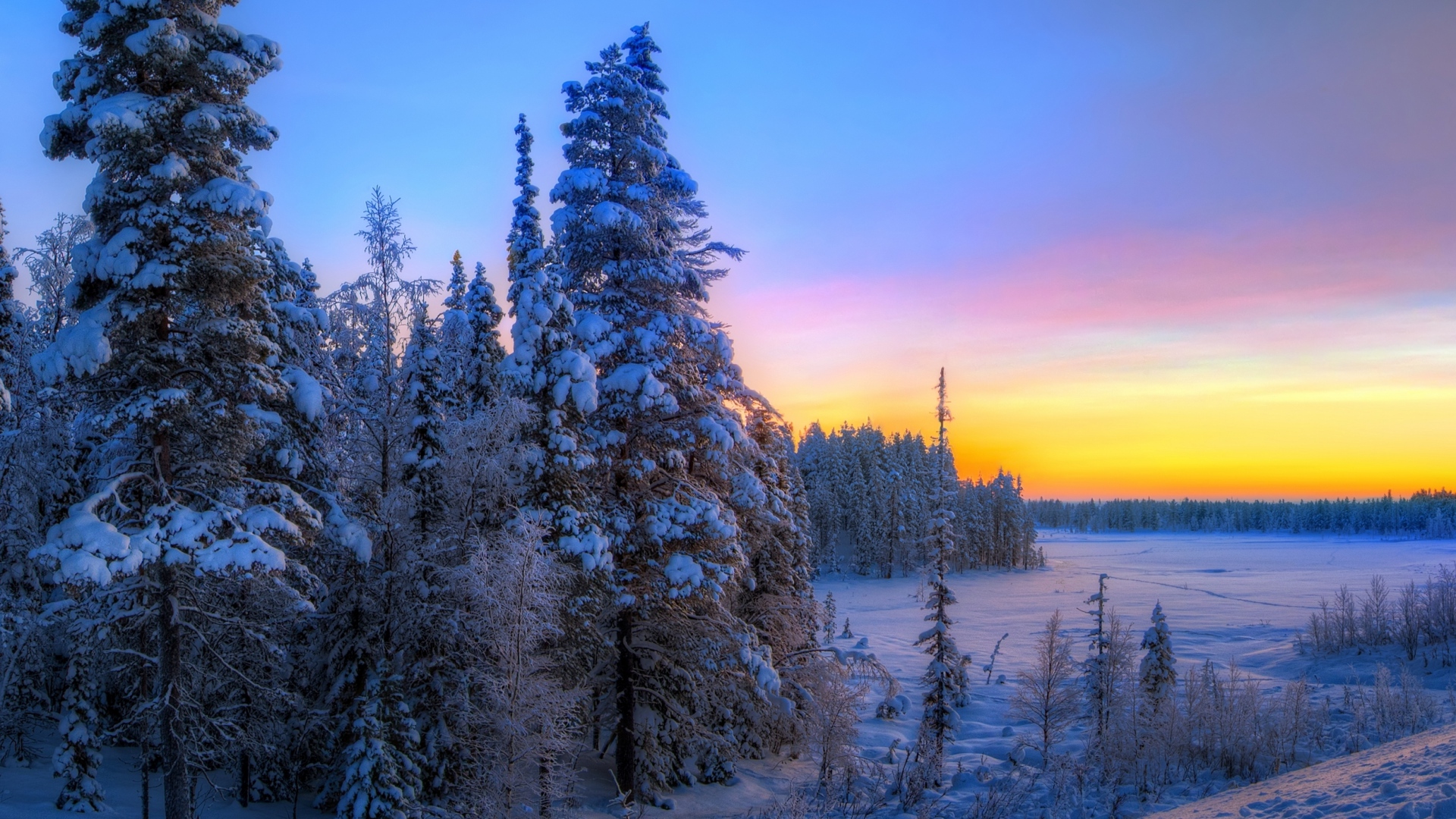 Download Sunset Snow Forest Tree Nature Winter HD Wallpaper