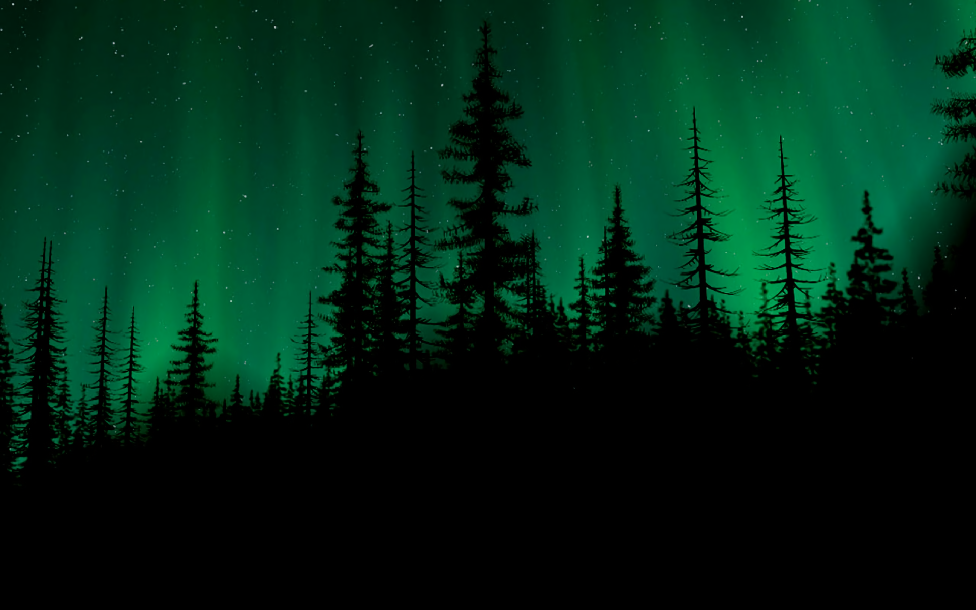 Download Silhouette Tree Forest Light Sky Nature Aurora Borealis HD